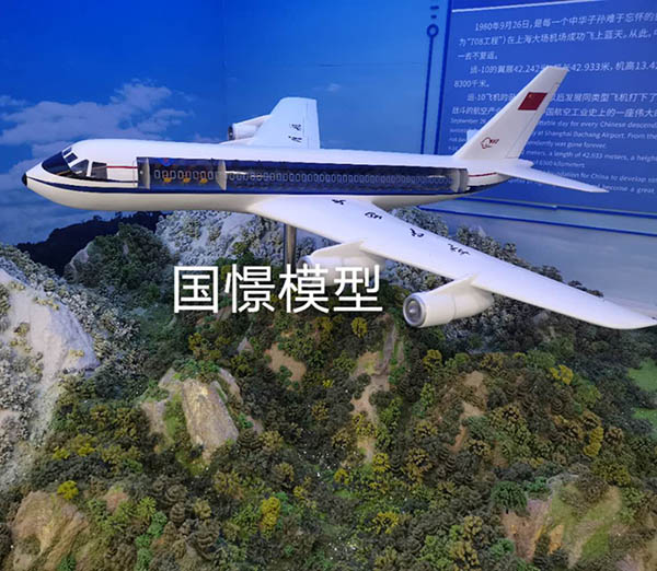 红河县飞机模型